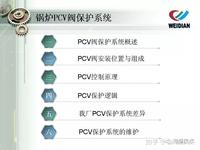 锅炉PCV阀保护系统