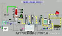 安徽德博永锋生物质气化供 10t/h 锅炉联产炭项目