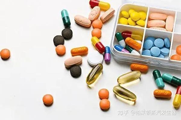 1吨蒸汽发生器用于保健食品生产 产品洁净 质量提升