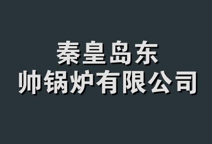 秦皇岛东帅锅炉有限公司