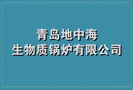 青岛地中海生物质锅炉有限公司