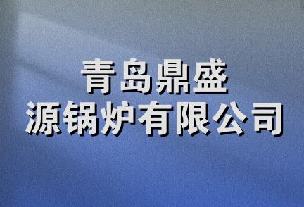 青岛鼎盛源锅炉有限公司