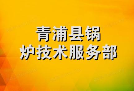 青浦县锅炉技术服务部