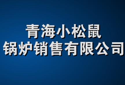 青海小松鼠锅炉销售有限公司