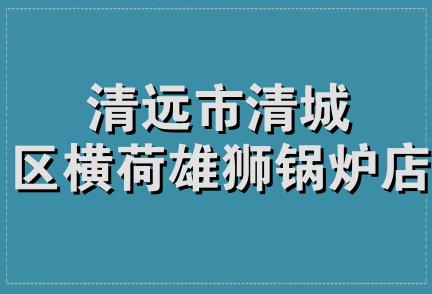 清远市清城区横荷雄狮锅炉店