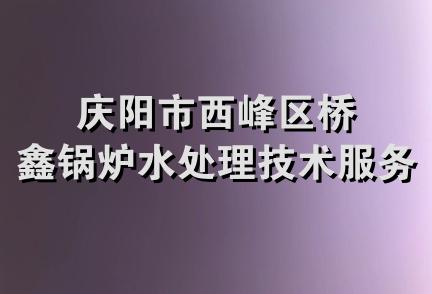 庆阳市西峰区桥鑫锅炉水处理技术服务部