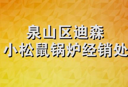 泉山区迪森小松鼠锅炉经销处