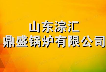 山东淙汇鼎盛锅炉有限公司