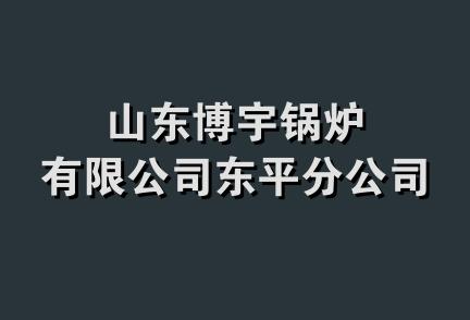 山东博宇锅炉有限公司东平分公司