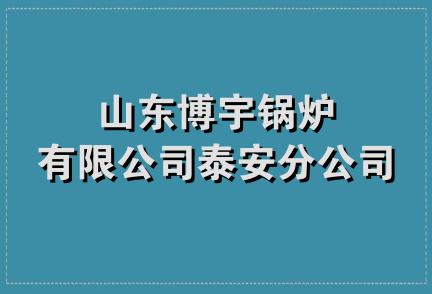 山东博宇锅炉有限公司泰安分公司