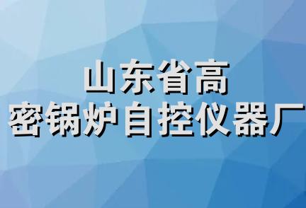 山东省高密锅炉自控仪器厂