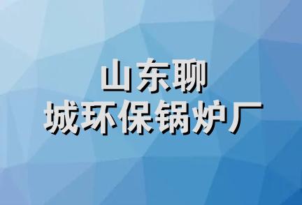 山东聊城环保锅炉厂