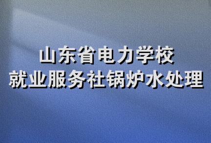 山东省电力学校就业服务社锅炉水处理站