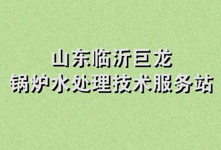 山东临沂巨龙锅炉水处理技术服务站