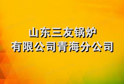 山东三友锅炉有限公司青海分公司