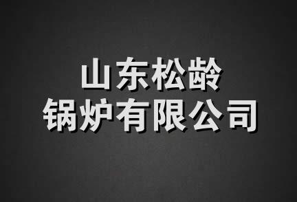 山东松龄锅炉有限公司