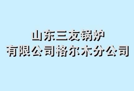 山东三友锅炉有限公司格尔木分公司