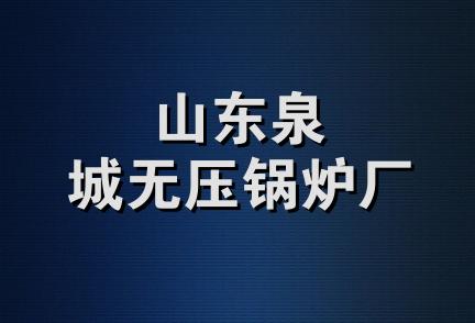 山东泉城无压锅炉厂