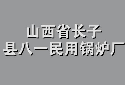 山西省长子县八一民用锅炉厂