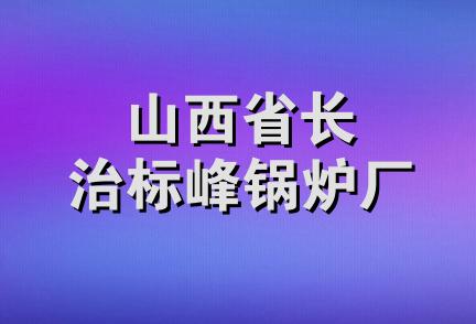 山西省长治标峰锅炉厂