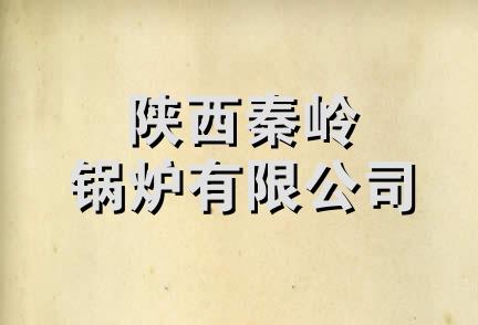 陕西秦岭锅炉有限公司