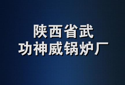 陕西省武功神威锅炉厂