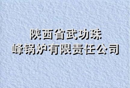 陕西省武功珠峰锅炉有限责任公司