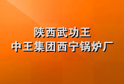 陕西武功王中王集团西宁锅炉厂