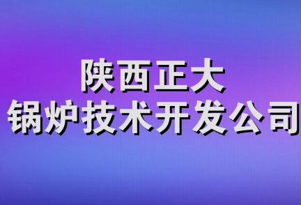 陕西正大锅炉技术开发公司