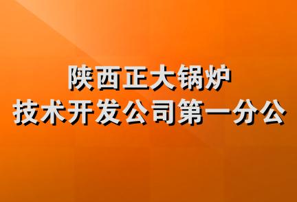 陕西正大锅炉技术开发公司第一分公司