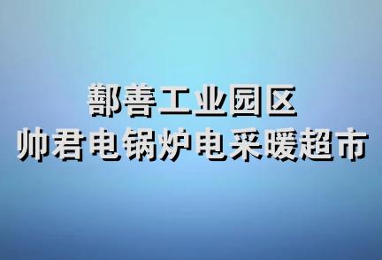 鄯善工业园区帅君电锅炉电采暖超市