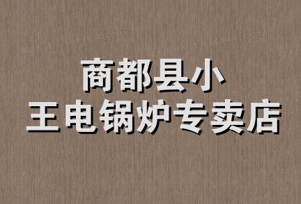 商都县小王电锅炉专卖店