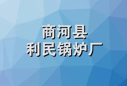 商河县利民锅炉厂