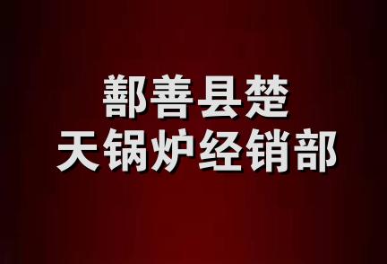 鄯善县楚天锅炉经销部