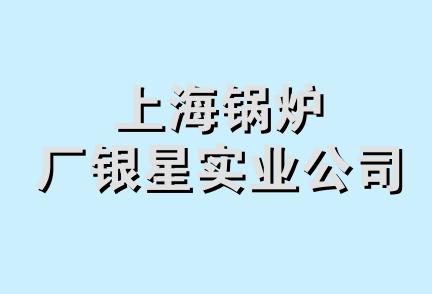 上海锅炉厂银星实业公司