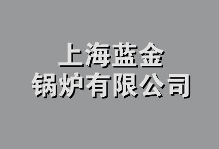 上海蓝金锅炉有限公司