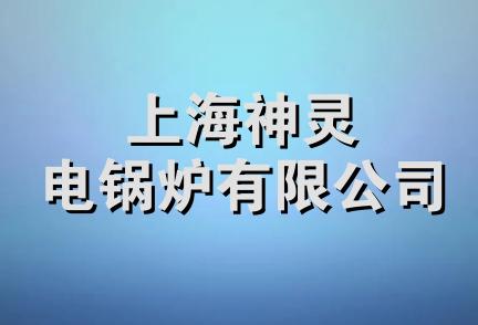 上海神灵电锅炉有限公司