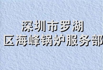 深圳市罗湖区海峰锅炉服务部