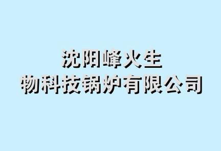 沈阳峰火生物科技锅炉有限公司