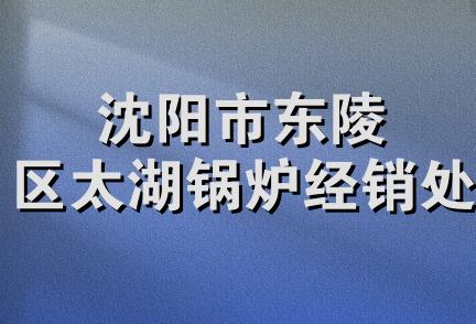 沈阳市东陵区太湖锅炉经销处