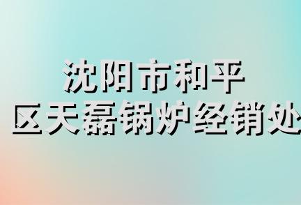 沈阳市和平区天磊锅炉经销处