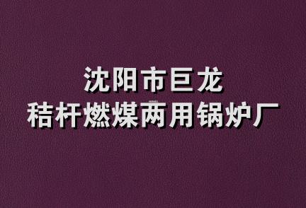 沈阳市巨龙秸杆燃煤两用锅炉厂