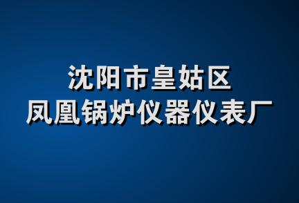 沈阳市皇姑区凤凰锅炉仪器仪表厂