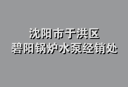 沈阳市于洪区碧阳锅炉水泵经销处