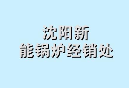 沈阳新能锅炉经销处