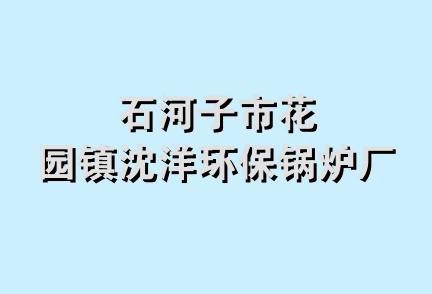 石河子市花园镇沈洋环保锅炉厂