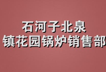 石河子北泉镇花园锅炉销售部