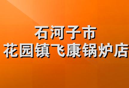 石河子市花园镇飞康锅炉店
