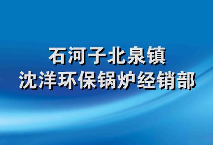 石河子北泉镇沈洋环保锅炉经销部