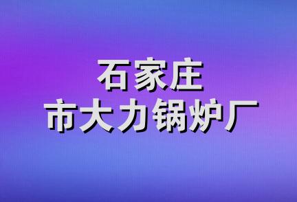 石家庄市大力锅炉厂